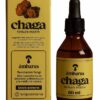 Chaga Tintura Madre 60mL Ámbarus
