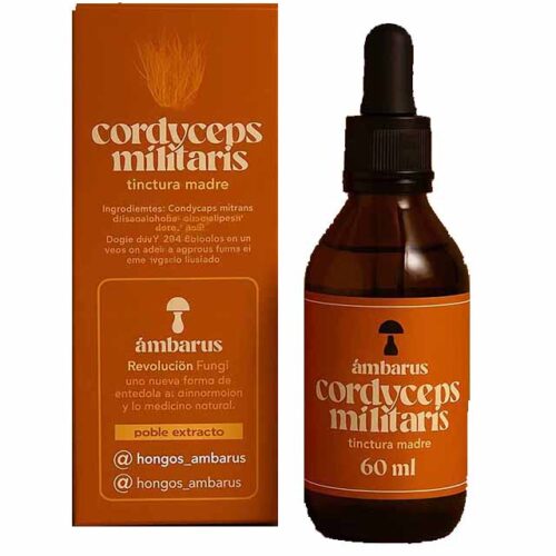 Cordyceps Militaris Tintura Madre 60mL Ámbarus