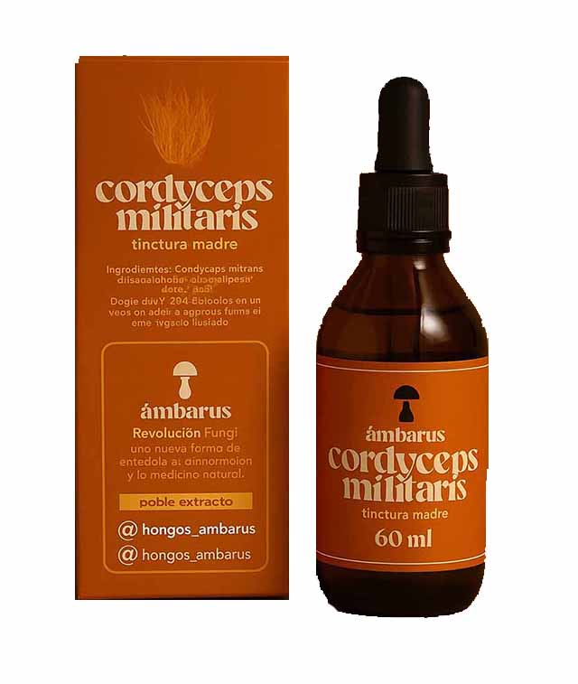 Cordyceps Militaris Tintura Madre 60mL Ámbarus