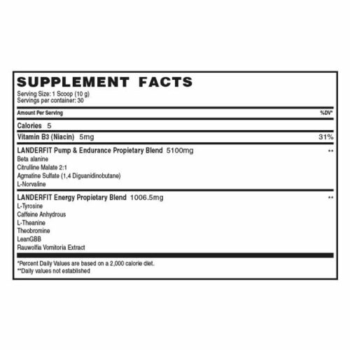 Muscle Pump 300g Landerfit
